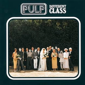 Pulp