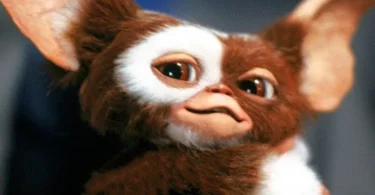 Gizmo - Gremlins