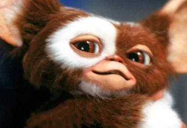 Gizmo - Gremlins