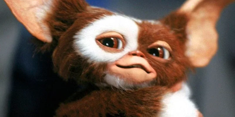Gizmo - Gremlins